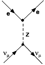 Myon-Neutrino-Streuung an Elektronen, ein neutraler schwacher Prozess