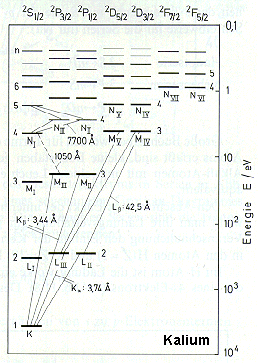 Termschema aus vielen Energieniveaus und bergngen (Kalium)